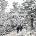 Κολυδάς: Γιατί Ο Χειμώνας Μπορεί Να Επιστρέψει Την Άνοιξη