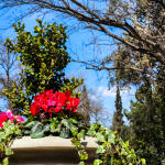 Καιρός: Άνοιξη μέχρι τη Δευτέρα- Φθινόπωρο από τα μέσα της άλλης εβδομάδας