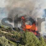 Πύργος Ηλείας: Μεγάλη φωτιά στα Βυτιναίικα - Kαίει σε δύο μέτωπα