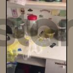 Μάνδρα: Έφοδος Αστυνομικών Σε Διαμέρισμα Για Ναρκωτικά