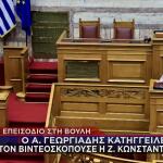 Καβγάς Αδ. Γεωργιάδη - Ζ. Κωνσταντοπούλου στη Βουλή