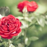 Εορτολόγιο Σήμερα: Ποιοι Γιορτάζουν Στις 31 Μαρτίου