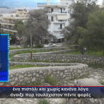 Περιστέρι πυροβολισμοί