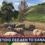 Διάλογος για τον ΟΠΕΚΕΠΕ: Τέτοιο σεξ δεν το ξαναθέλω