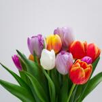 Εορτολόγιο Σήμερα: Ποιοι Γιορτάζουν Στις 11 Απριλίου