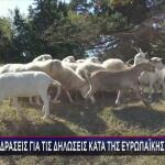 ΠΑΣΟΚ κατά κυβέρνησης