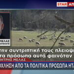 Δημήτρης Μελάς