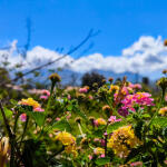 Καιρός: Σχεδόν αίθριος σε όλη τη χώρα- Υποχωρούν σκόνη και βοριάδες