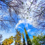 Καιρός: Βροχές Στη Μισή Χώρα, Καλοκαίρι Στην Άλλη Μισή