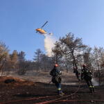 Δασικές Πυρκαγιές