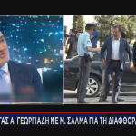 Μάριος Σαλμάς Άδωνις Γεωργιάδης