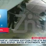 Αγία Βαρβάρα: «Έχει κάνει 340 ράμματα από την τζαμαρία - Έχει πάθει σοκ»