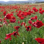 Καιρός: «Φθινοπωρινή Παρένθεση» Με Κρύο Την Πρωτομαγιά