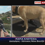 Νέος Βουτζάς: Αγριογούρουνα Τραυμάτισαν Σκύλο