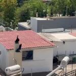 Περιστέρι: Τα Έξι Παιδιά Ζούσαν Σε 27 τ.μ Μέσα Στα Σκουπίδια