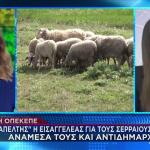 ΟΠΕΚΕΠΕ: Καταπέλτης Η Εισαγγελέας Για Τους Σερραίους Αγρότες