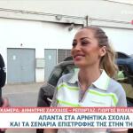 Ελένη Βουλγαράκη