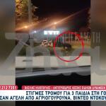Αγριογούρουνα Περικύκλωσαν Τρία Παιδιά Στη Γορίτσα