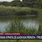 Θέρμη: Έριχναν Λύματα Σε Δάση Και Ρέματα