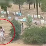 Φωτιά Άλσος Βεΐκου: Συνελήφθη Μελισσοκόμος