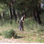 Καθαρισμός Οικοπέδων