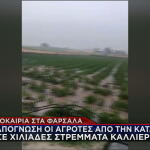 κακοκαιρία
