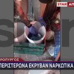 Ασπρόπυργος: Αστυνομικοί Εντοπίζουν Ναρκωτικά Σε Σχολείο