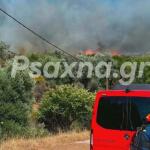 Φωτιά Στον Αλμυροπόταμο