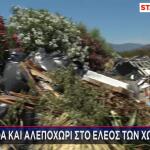 χωματερές