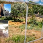 Σταυρούλα Λεβεντάκη: Πώς Τη Σκότωσε; Οι Αναλήψεις Από ATM