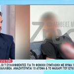 Καλλιθέα: Τι Είπε Ο 17χρονος Στους Αστυνομικούς