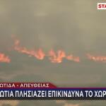 Φωτιά Φθιώτιδα: Στάχτη Κτηνοτροφικές Μονάδες
