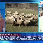 ΟΠΕΚΕΠΕ ποινές