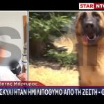 Βάρη: Αστυνομικοί Έσπασαν Αυτοκίνητο Για Να Σώσουν Λυκόσκυλο