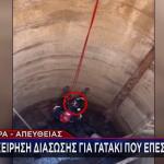 Πάτρα - γατάκι διάσωση από πηγάδι