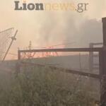 Φωτιά Σέρρες: Μήνυμα 112 Για Εκκένωση Της Οινούσσας