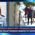 Δημογλίδου: «Λάθος Των Αστυνομικών Ο Θάνατος Του 20χρονου»