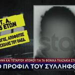 Νέστορα:Αυτός Είναι Ο 25χρονος Που Συνελήφθη Για Την Επίθεση