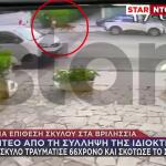 Βριλήσσια: Η Στιγμή Που Απομακρύνουν Τον Σκύλο Από Το Σημείο