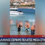 σερβιτόρος στην Πάρο στη θάλασσα