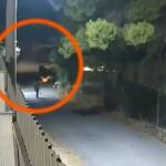 Άνοιξη: Βίντεο ντοκουμέντο από τον εμπρησμό
