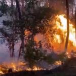 Μαίνονται οι πυρκαγιές στη Γαλλία - Με σκάφη απομακρύνθηκαν από το Καπ Φερέ