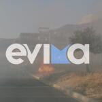 Μεγάλη Φωτιά Στην Κάρυστο: Κοντά Σε Σπίτια Οι Φλόγες
