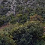 Θεσπρωτία: Νεκρός 20χρονος Από Τη Χιλή - Έπεσε Σε Χαράδρα