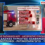 Ηλίας Παπανικολάου για τις φωτιές