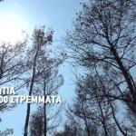 Φωτιές: Στάχτη Το Πράσινο Στολίδι Της Δυτικής Αττικής