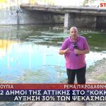 Ιός Δυτικού Νείλου