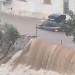 Μάνη: Έπεσαν 140 τόνοι νερού ανά στρέμμα - Τεράστιες ζημιές