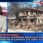 Φωτιά Σαλαμίνα