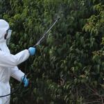 Ιός Δυτικού Νείλου: Σε 48 δήμους έχουν καταγραφεί κρούσματα